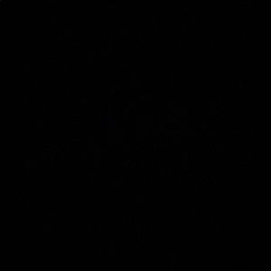 Meet your Posher, Danny